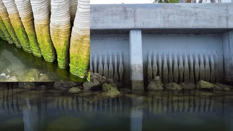 3d geprinte zeewering met natuurlijke begroeiing