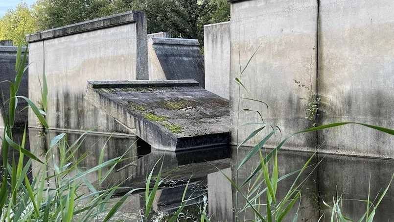 detail van de betonnen constructie met begroeiing – symbiose tussen techniek en natuur in het waterloopbos