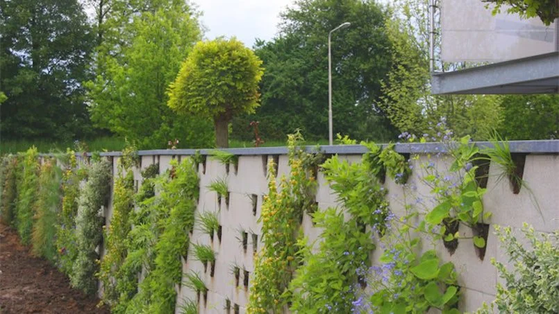 groene afscheiding foto bia