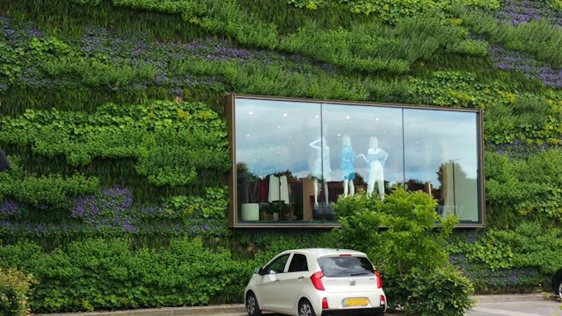 groene muur foto bia