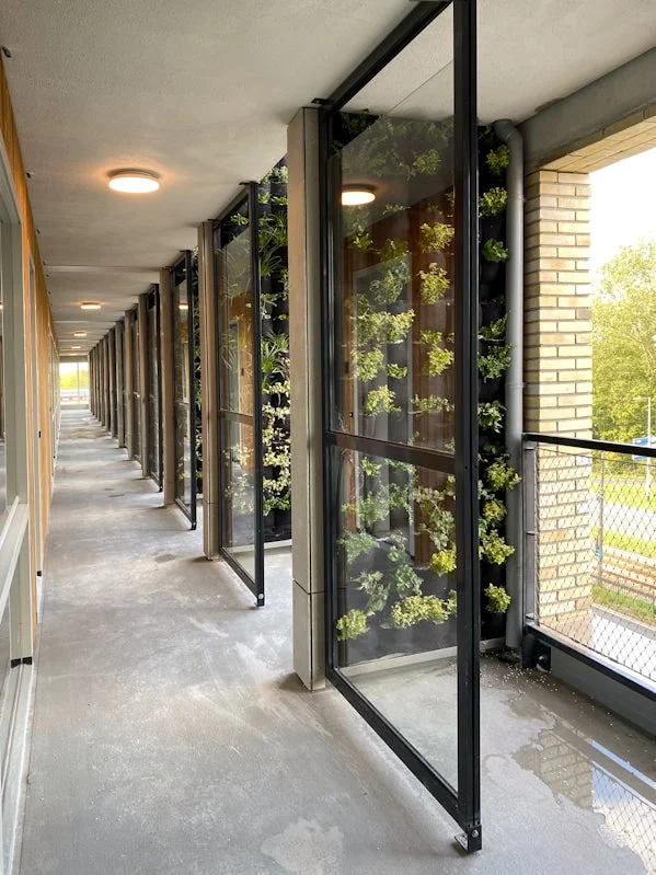 groene suskast studioninedots aherder img 8473