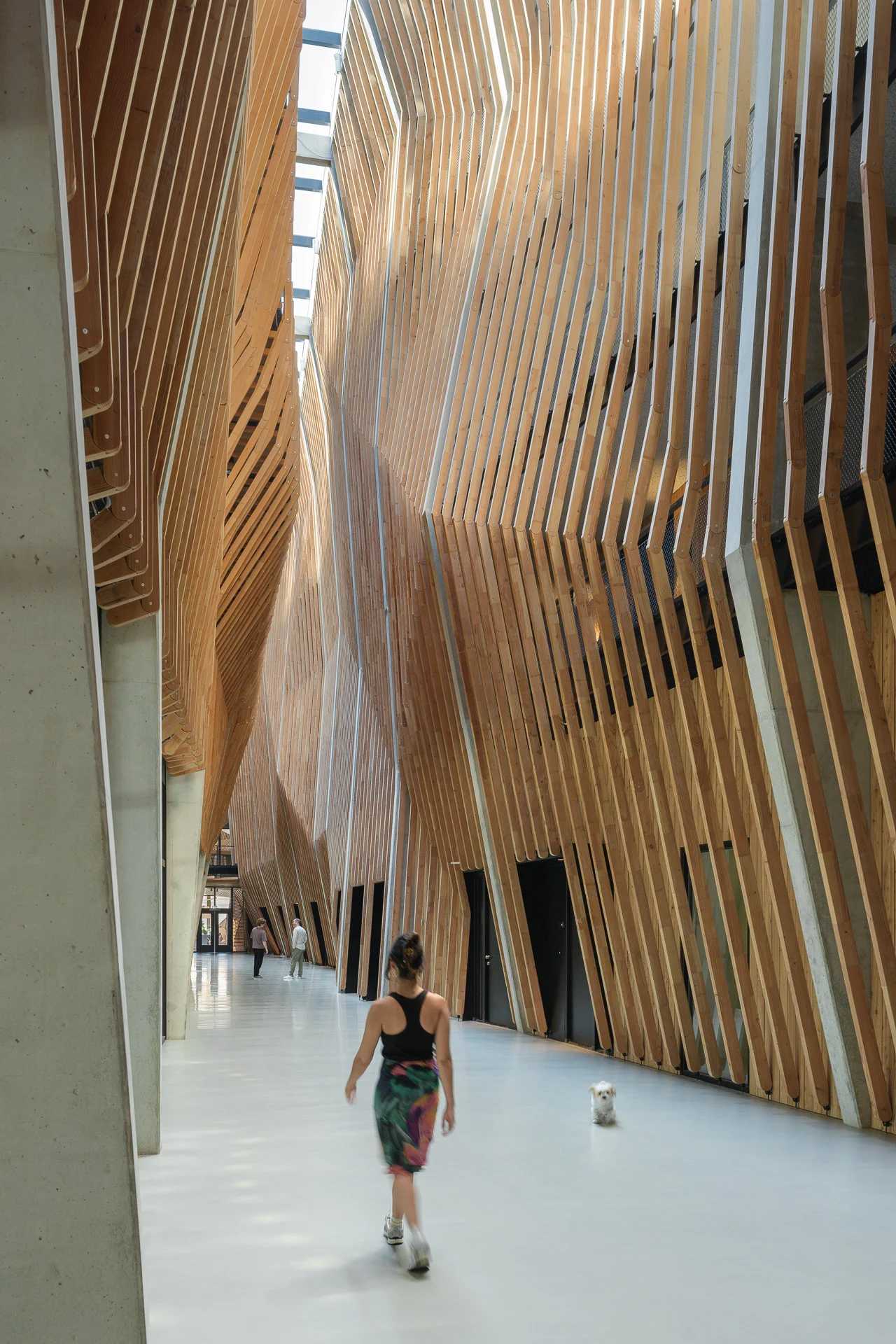 Jonas'_interieur